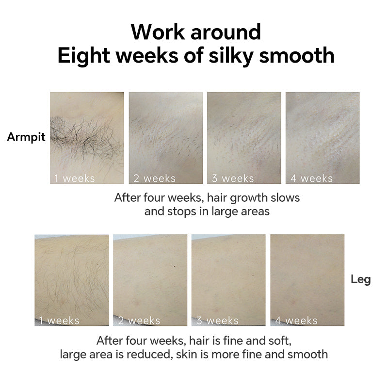 https://cdn.shopify.com/s/files/1/0737/4510/5174/files/T4-02.jpg?v=1754035265